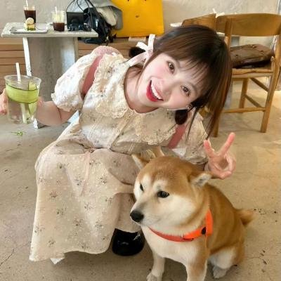 爱民村官